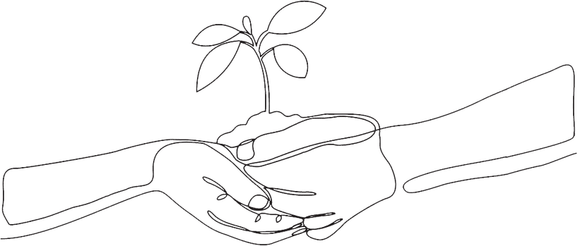 Illustration of hands holding a plant